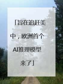 旨在追赶美中，欧洲首个AI推理模型来了