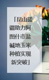 昆山援疆助力阿图什市盐碱地玉米种植实现新突破