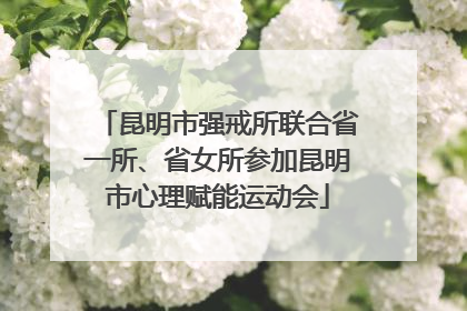 昆明市强戒所联合省一所、省女所参加昆明市心理赋能运动会