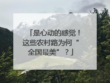 是心动的感觉！这些农村路为何“全国最美”？