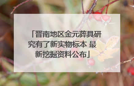 晋南地区金元葬具研究有了新实物标本 最新挖掘资料公布