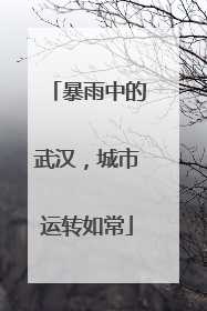 暴雨中的武汉，城市运转如常