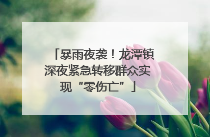暴雨夜袭！龙潭镇深夜紧急转移群众实现“零伤亡”