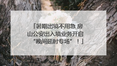 暑期出境不用急 房山公安出入境业务开启“晚间延时专场”！
