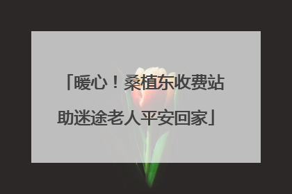 暖心！桑植东收费站助迷途老人平安回家