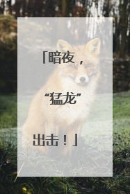暗夜，“猛龙”出击！