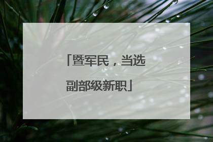 暨军民，当选副部级新职