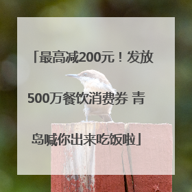 最高减200元！发放500万餐饮消费券 青岛喊你出来吃饭啦