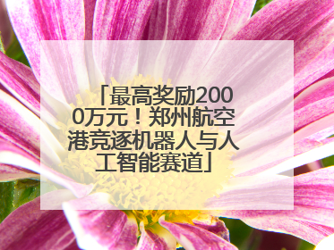 最高奖励2000万元！郑州航空港竞逐机器人与人工智能赛道