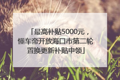最高补贴5000元，懂车帝开放海口市第二轮置换更新补贴申领