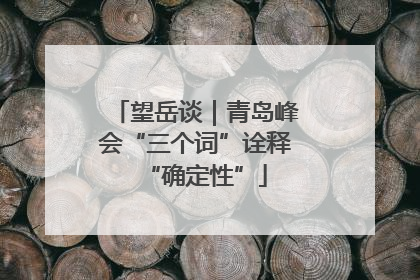 望岳谈｜青岛峰会“三个词”诠释“确定性”