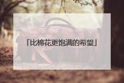 比棉花更饱满的希望