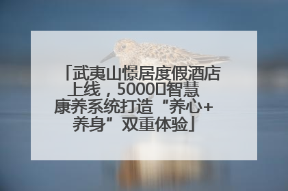 武夷山憬居度假酒店上线，5000㎡智慧康养系统打造“养心+养身”双重体验