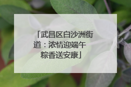 武昌区白沙洲街道：浓情迎端午 粽香送安康