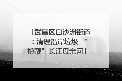 武昌区白沙洲街道：清理沿岸垃圾 “扮靓”长江母亲河