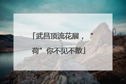 武昌顶流花展，“荷”你不见不散