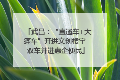 武昌：“直通车+大篷车”开进文创楼宇 双车并进惠企便民
