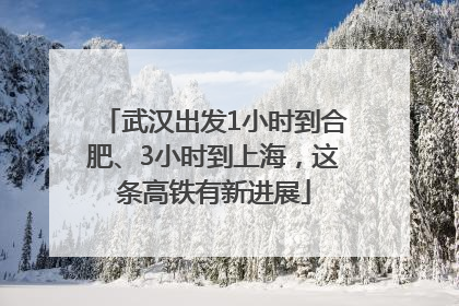 武汉出发1小时到合肥、3小时到上海，这条高铁有新进展