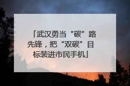 武汉勇当“碳”路先锋，把“双碳”目标装进市民手机