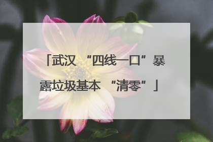 武汉 “四线一口”暴露垃圾基本 “清零”