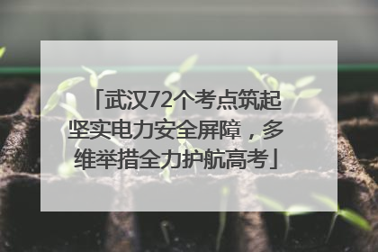 武汉72个考点筑起坚实电力安全屏障，多维举措全力护航高考