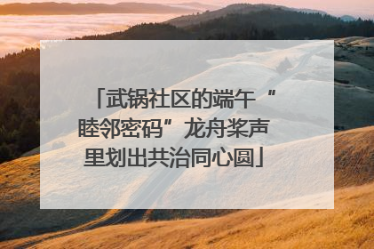 武锅社区的端午“睦邻密码”龙舟桨声里划出共治同心圆