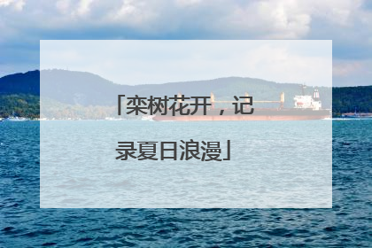 栾树花开，记录夏日浪漫