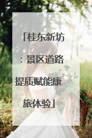 桂东新坊：景区道路提质赋能康旅体验