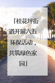 桂花坪街道开展六五环保活动，共筑绿色家园