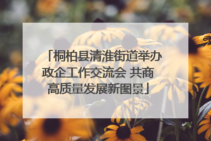 桐柏县清淮街道举办政企工作交流会 共商高质量发展新图景