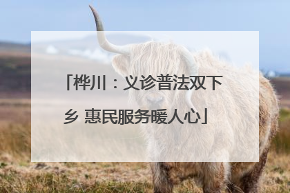 桦川：义诊普法双下乡 惠民服务暖人心