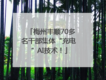 梅州丰顺70多名干部集体“充电”AI技术！