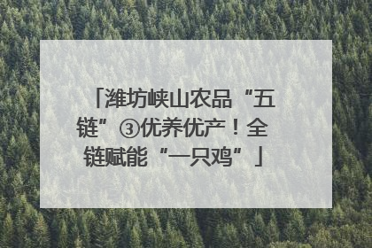 潍坊峡山农品“五链”③优养优产！全链赋能“一只鸡”