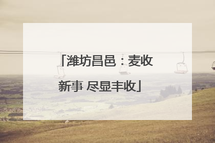 潍坊昌邑：麦收新事 尽显丰收