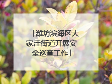 潍坊滨海区大家洼街道开展安全巡查工作
