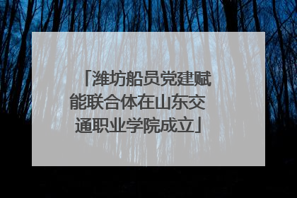 潍坊船员党建赋能联合体在山东交通职业学院成立