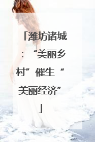 潍坊诸城：“美丽乡村”催生“美丽经济”