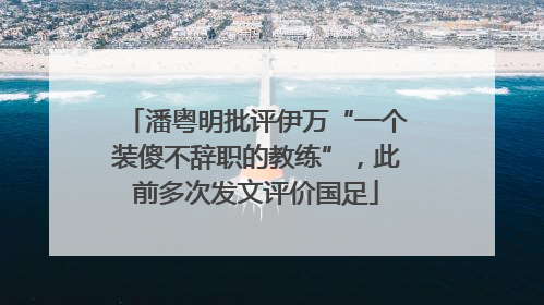 潘粤明批评伊万“一个装傻不辞职的教练”，此前多次发文评价国足