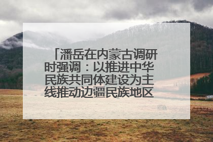 潘岳在内蒙古调研时强调：以推进中华民族共同体建设为主线推动边疆民族地区高质量发展