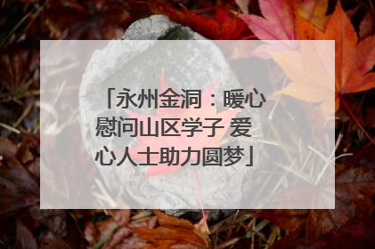 永州金洞：暖心慰问山区学子 爱心人士助力圆梦