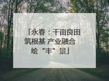 永春：千亩良田筑根基 产业融合绘“丰”景