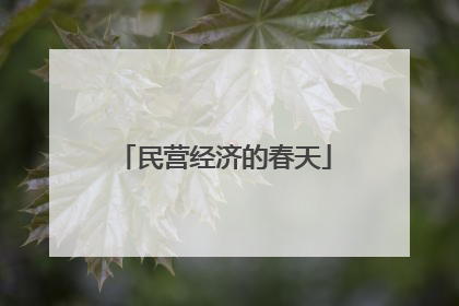 民营经济的春天