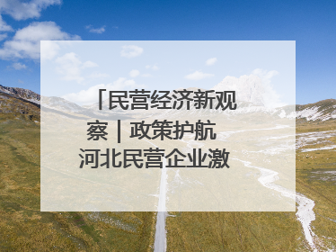 民营经济新观察｜政策护航 河北民营企业激发新“冀”遇