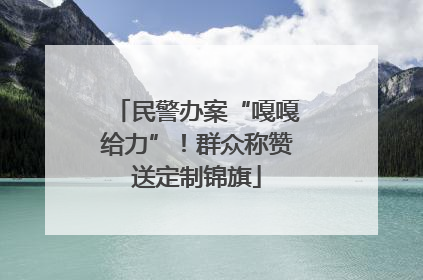 民警办案“嘎嘎给力”！群众称赞送定制锦旗
