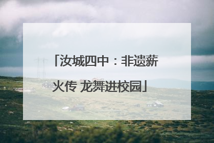 汝城四中：非遗薪火传 龙舞进校园