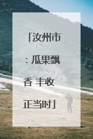 汝州市：瓜果飘香 丰收正当时