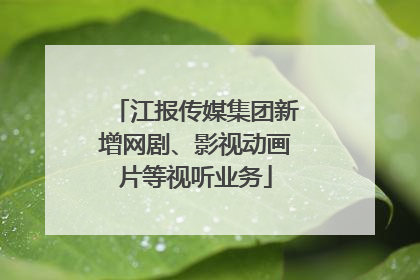 江报传媒集团新增网剧、影视动画片等视听业务