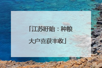 江苏盱眙：种粮大户喜获丰收