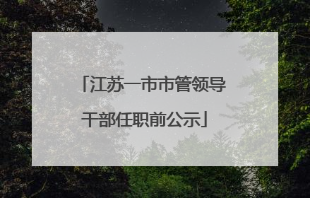 江苏一市市管领导干部任职前公示