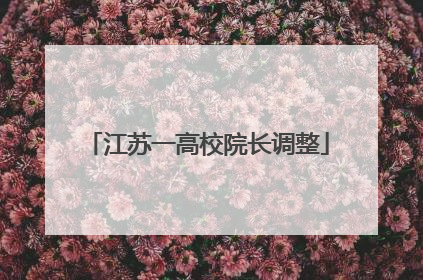 江苏一高校院长调整